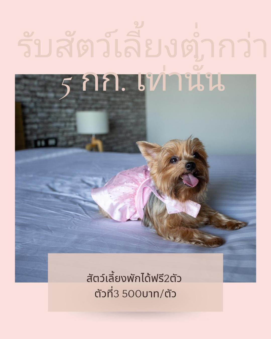 Get Zleep Premium Budget Hotel Chiang Mai Buitenkant foto